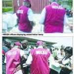 ondo ndlea
