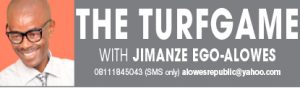 the turfgame