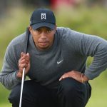 tiger wood