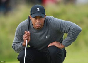 tiger wood