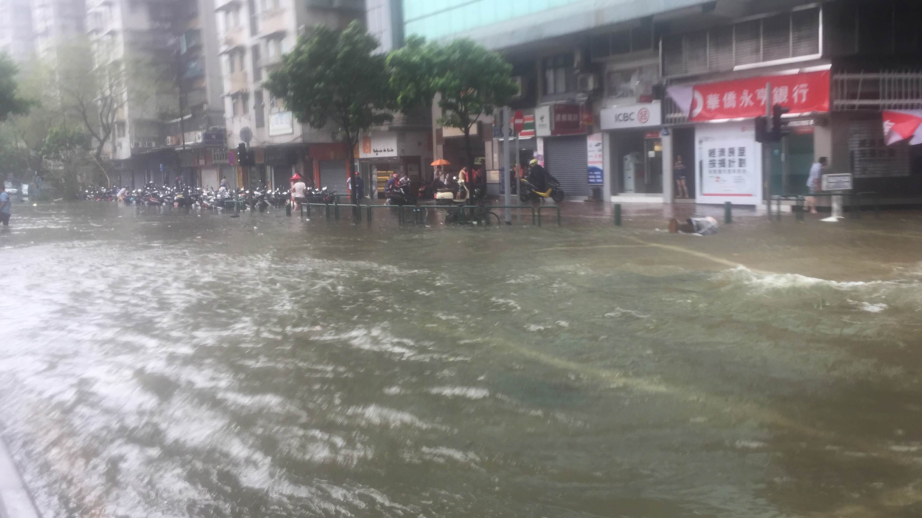 typhoon