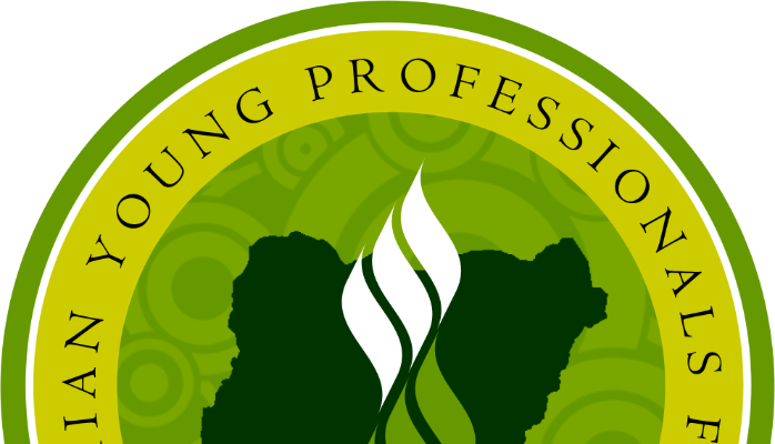 young professionals