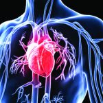 HEART DISEASE
