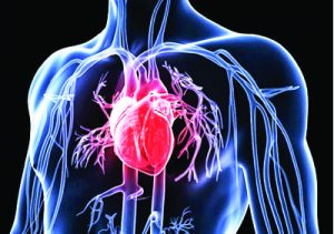 HEART DISEASE