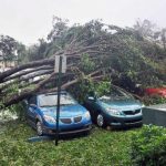 Irma5