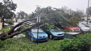Irma5