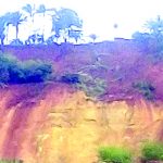OREN8