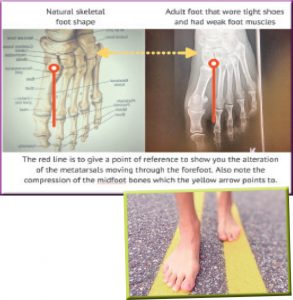 foot