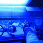incubator
