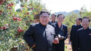nkorea
