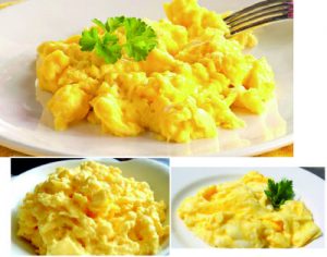 EGG