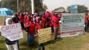 library workers
