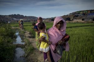 rohingya-bangladesh
