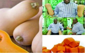 BUTTERNUT