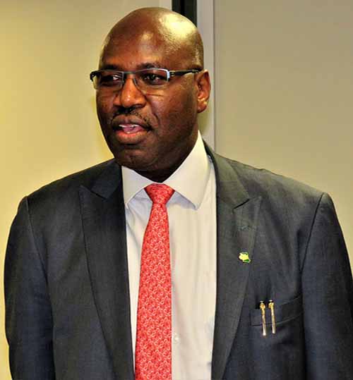 Babatunde Ogunade, NBBF VP