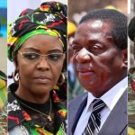 Zimbabwe key players