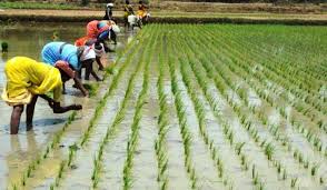 agric