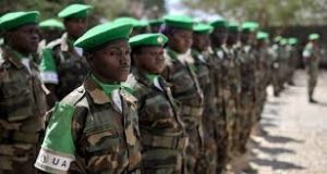 benin troops