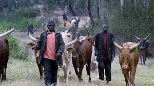 herdsmen
