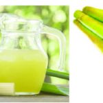 sugarcane