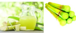sugarcane