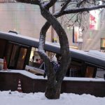Moscow-bus-crash-kills-five
