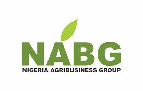 The-Nigeria-Agribusiness-Group-NAGB