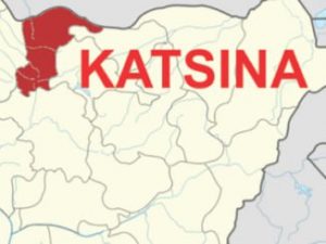 katsina-state-map-326×245