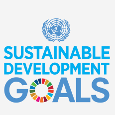 sdgsfirst