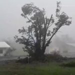 Cyclone