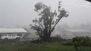 Cyclone
