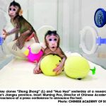 MONKEY