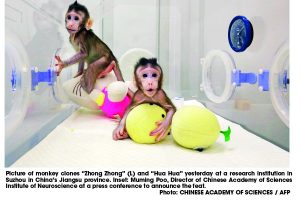 MONKEY