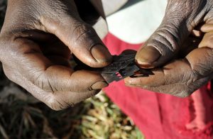 surgical-razors-used-female-genital-mutilation