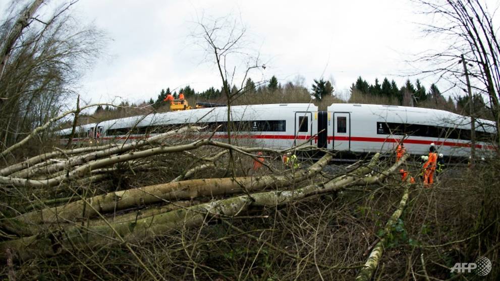 train