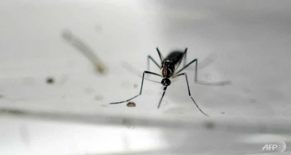 zika