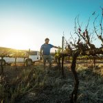Farmers Around Cape Town Face Worsening Drought Conditions And Water Restrictions