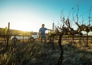 Farmers Around Cape Town Face Worsening Drought Conditions And Water Restrictions