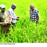 FARMERS