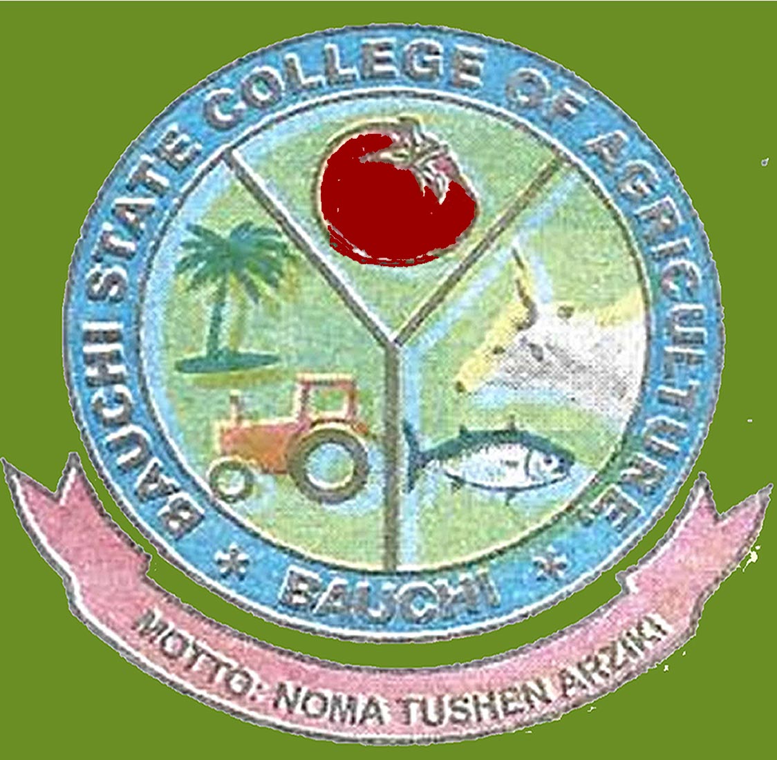 bauchi college