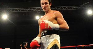boxer