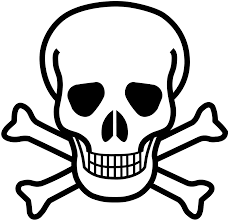 skull