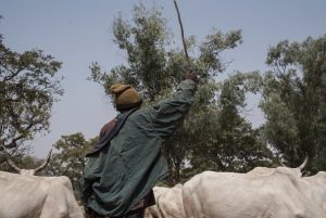 movement permits Fulani herdsmen