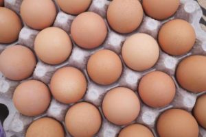 eggs