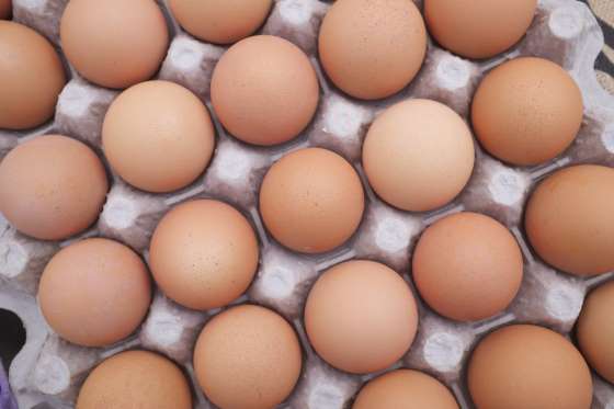 eggs