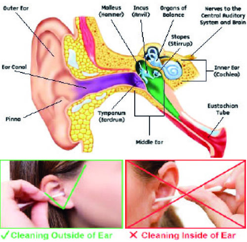 CLEAN EAR