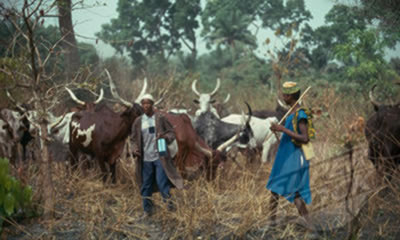 fulani-herdsmen1