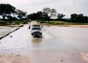 haedjia