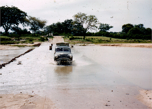 haedjia