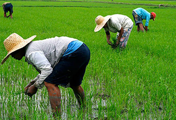 Farmers